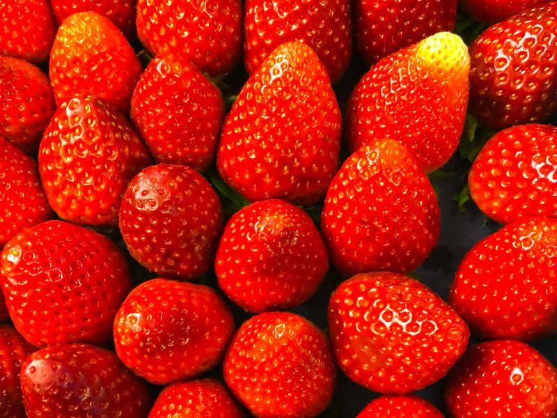 food and lifestyle of France