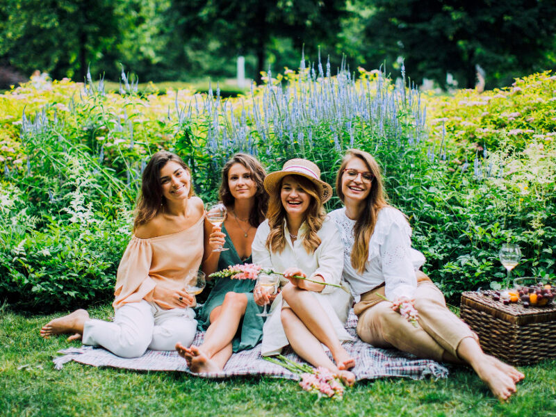 French vineyard picnic
