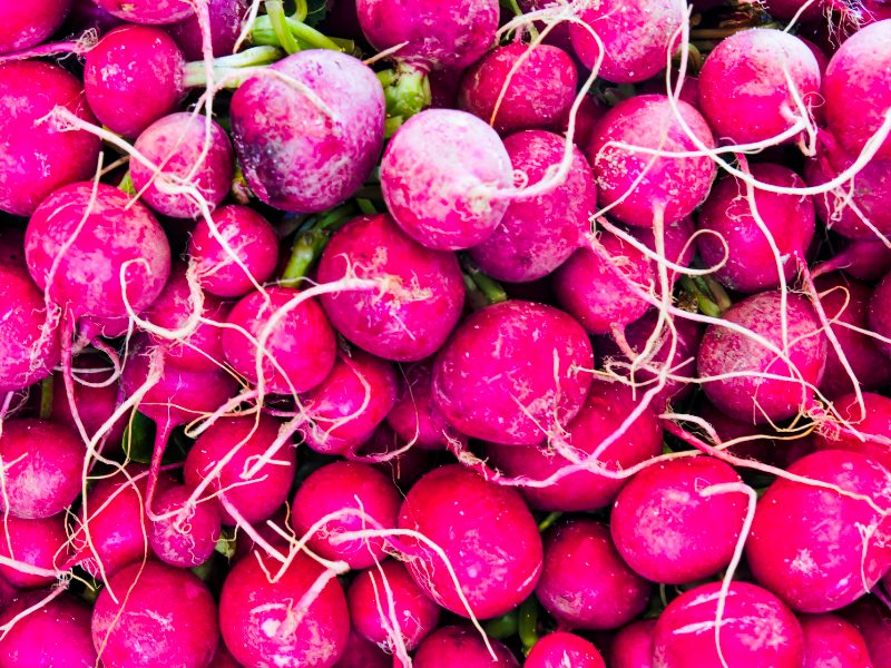 food and lifestyle of France