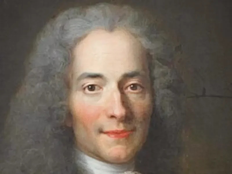 Voltaire Portrait - France through ages