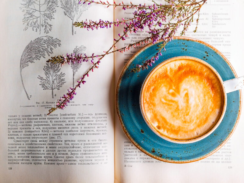 food and lifestyle of France