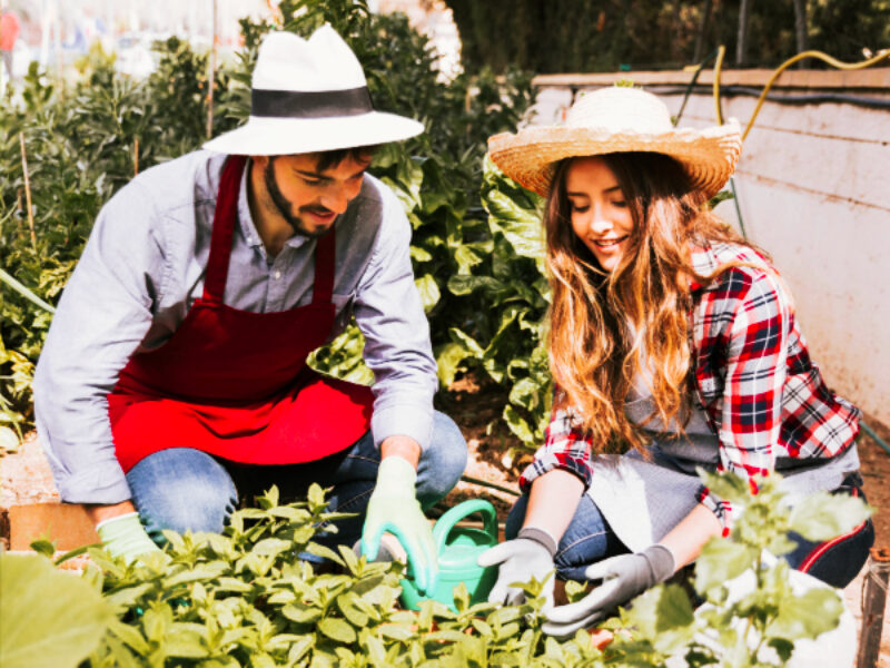 food and lifestyle of France