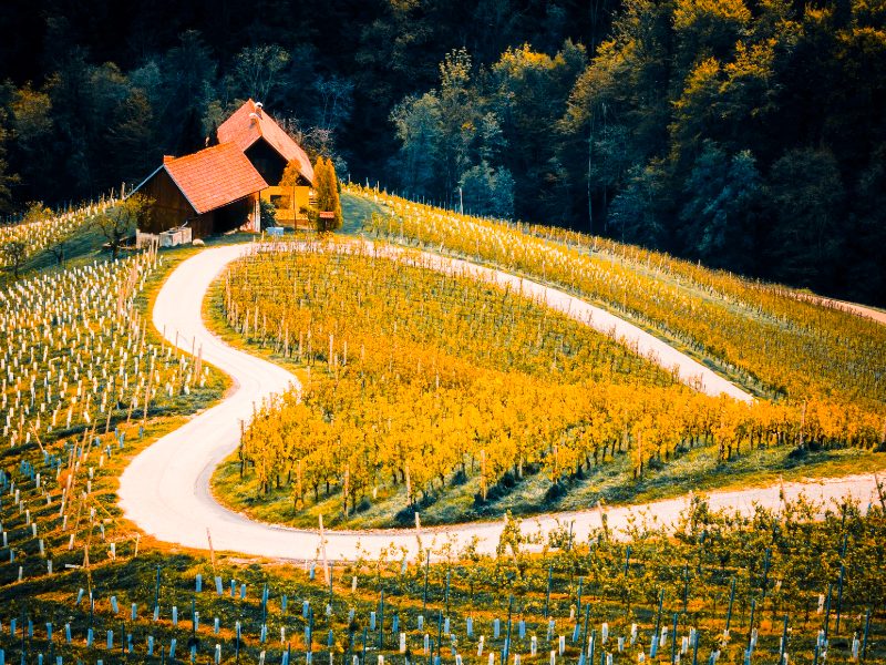 Untitled (8) Explore France by Region